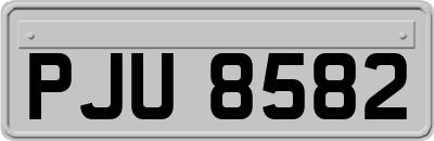 PJU8582
