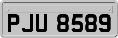 PJU8589