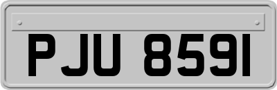 PJU8591
