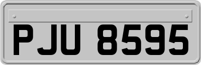 PJU8595