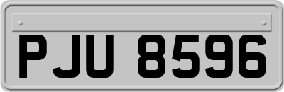 PJU8596