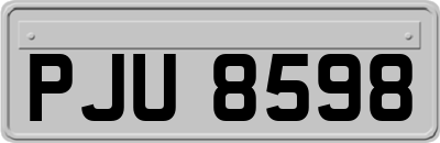 PJU8598