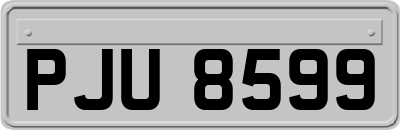 PJU8599