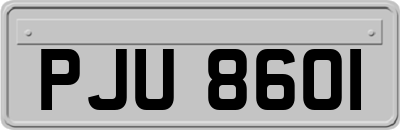 PJU8601
