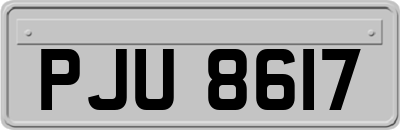 PJU8617