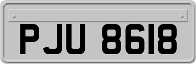 PJU8618