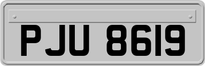 PJU8619