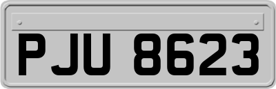 PJU8623
