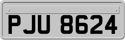 PJU8624