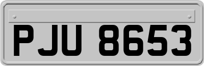 PJU8653