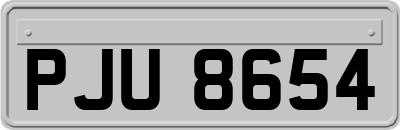 PJU8654