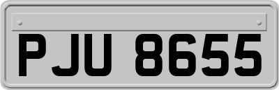 PJU8655