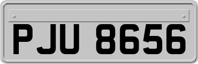 PJU8656