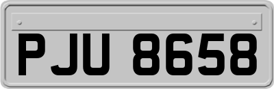 PJU8658