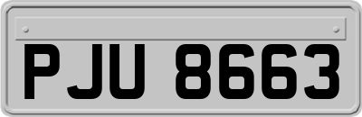 PJU8663