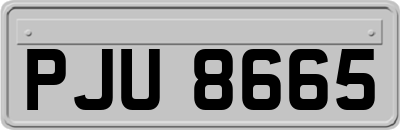PJU8665