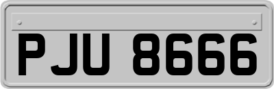 PJU8666
