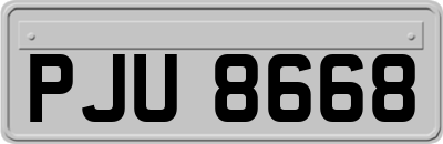 PJU8668