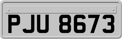 PJU8673