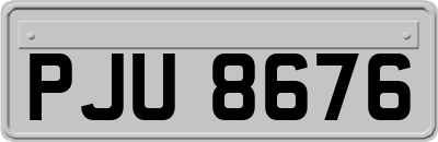 PJU8676