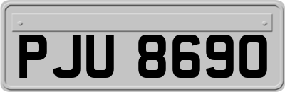 PJU8690
