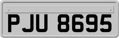 PJU8695