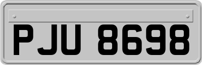 PJU8698