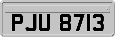PJU8713