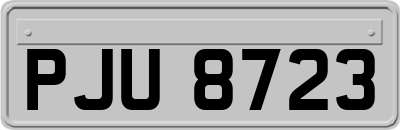 PJU8723