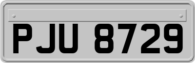 PJU8729