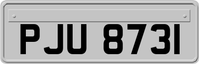 PJU8731