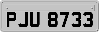 PJU8733