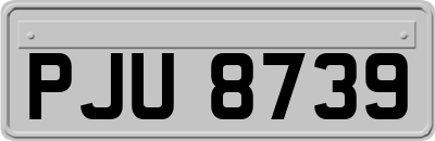 PJU8739