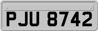PJU8742