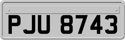 PJU8743