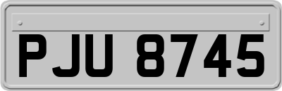 PJU8745