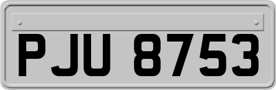 PJU8753