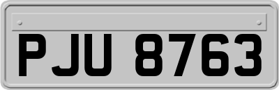 PJU8763