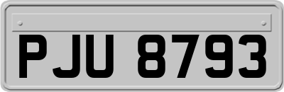 PJU8793