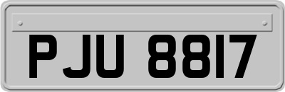 PJU8817