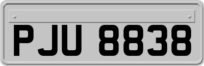 PJU8838