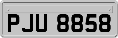 PJU8858
