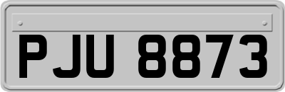 PJU8873