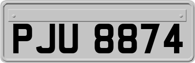 PJU8874