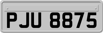 PJU8875