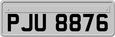PJU8876
