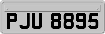 PJU8895