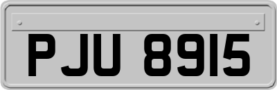 PJU8915