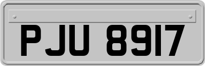 PJU8917
