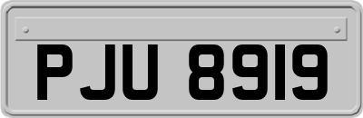 PJU8919